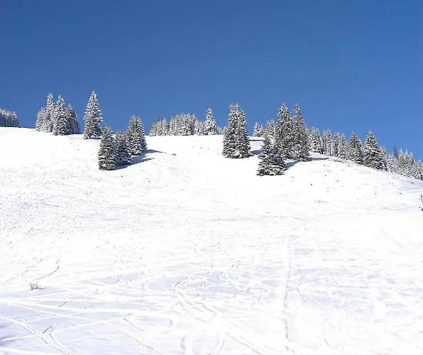 Vah 게스트하우스 3*